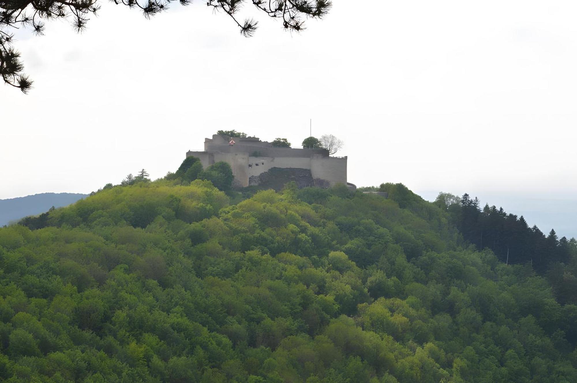Fewo-Alb-Traum Erkenbrechtsweiler Buitenkant foto