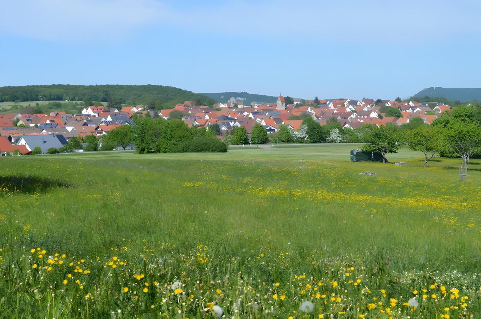 Fewo-Alb-Traum Erkenbrechtsweiler Buitenkant foto